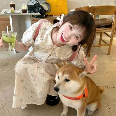 高调人生